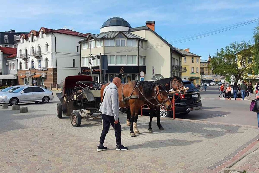 Отдых в Трускавце